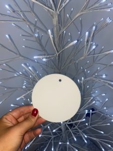 Small plain acrylic disc